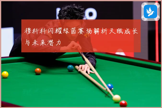 穆科科闪耀绿茵赛场解析天赋成长与未来潜力