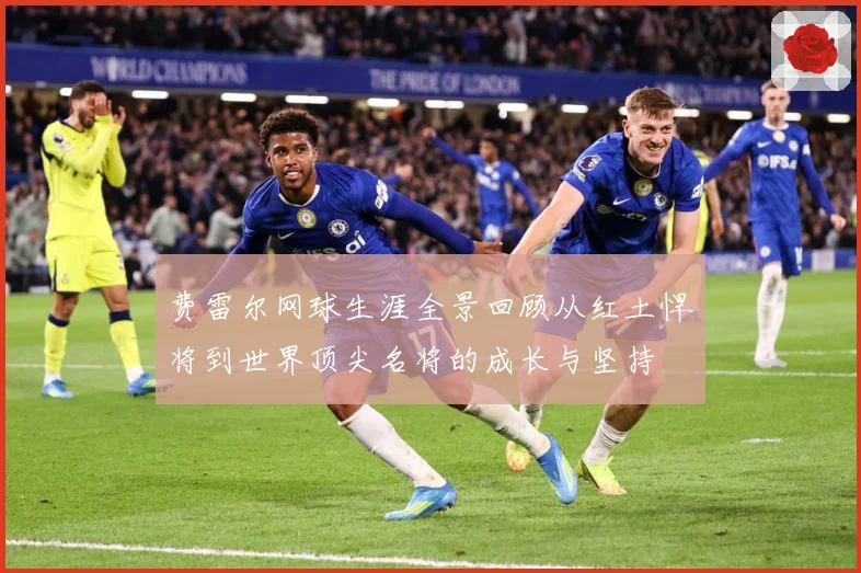 费雷尔网球生涯全景回顾从红土悍将到世界顶尖名将的成长与坚持